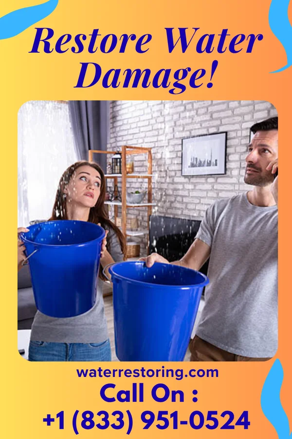 water restoration Pro Cleanup Masters Windom