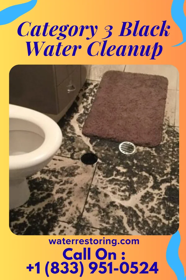 Category 3 Black Water Cleanup in Windom, MN