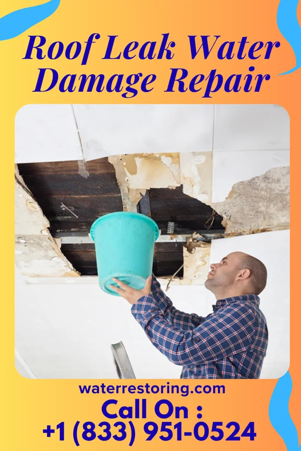 Roof Leak Water Damage Repair in Windom, MN