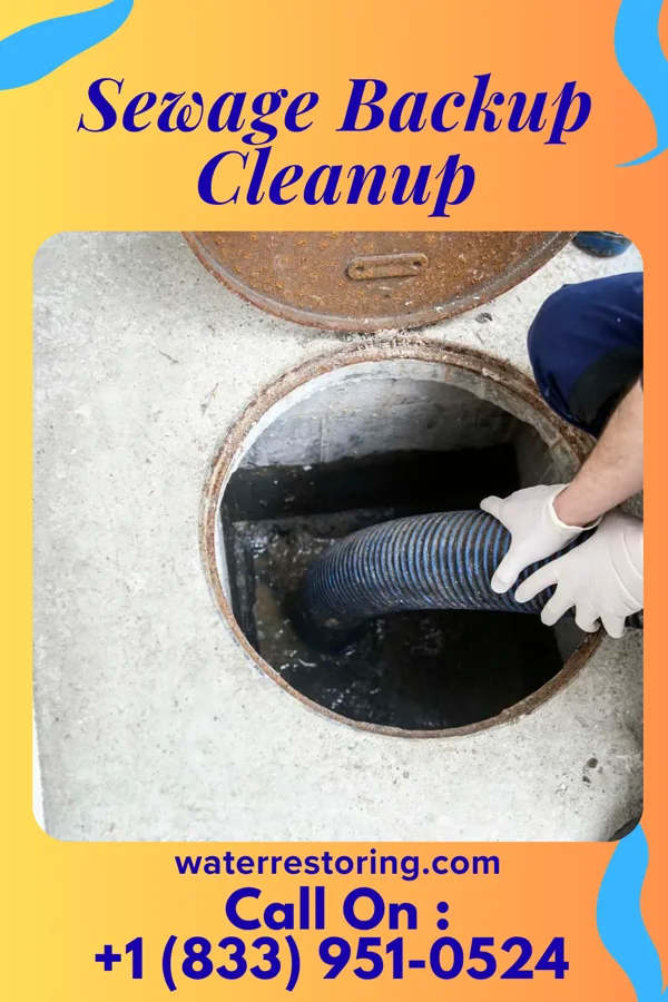 Sewage Backup Cleanup in Windom, MN