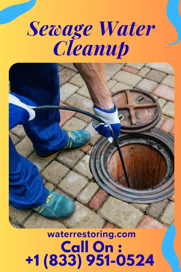 Sewage Water Cleanup in Windom, MN