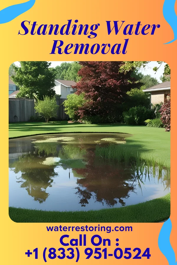 Standing Water Removal in Windom, MN
